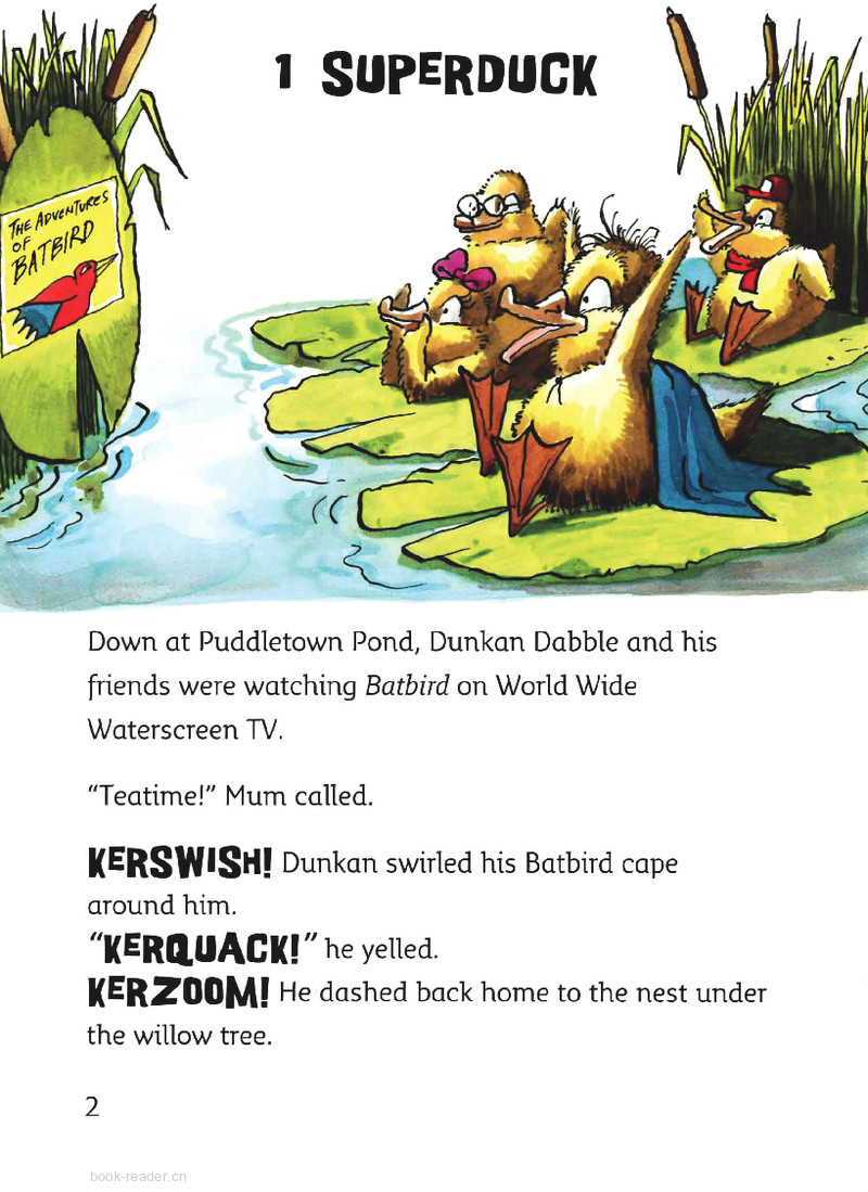The Amazing Adventures of BATBIRD绘本故事第3页