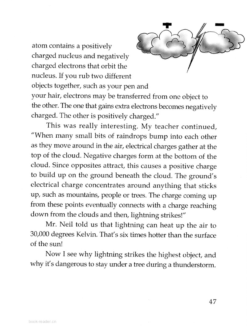 The Lightning Strike绘本故事第3页