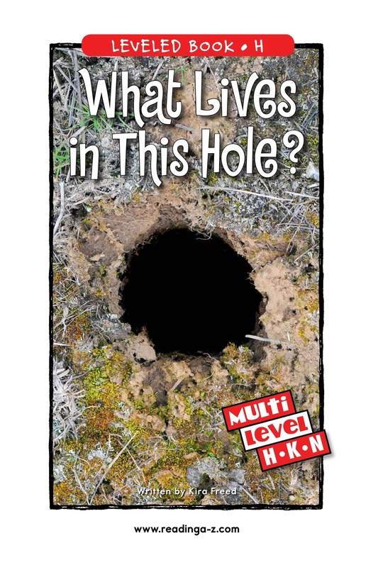 What Lives in This Hole