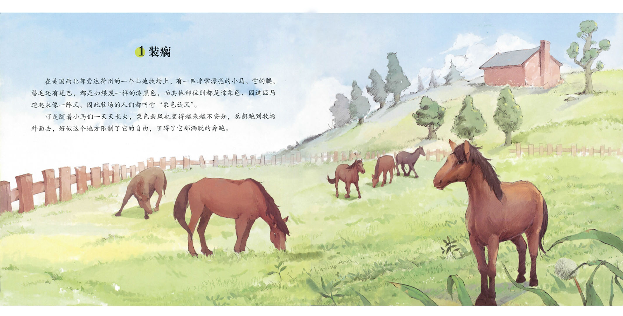 高傲的栗色烈马绘本故事第3页