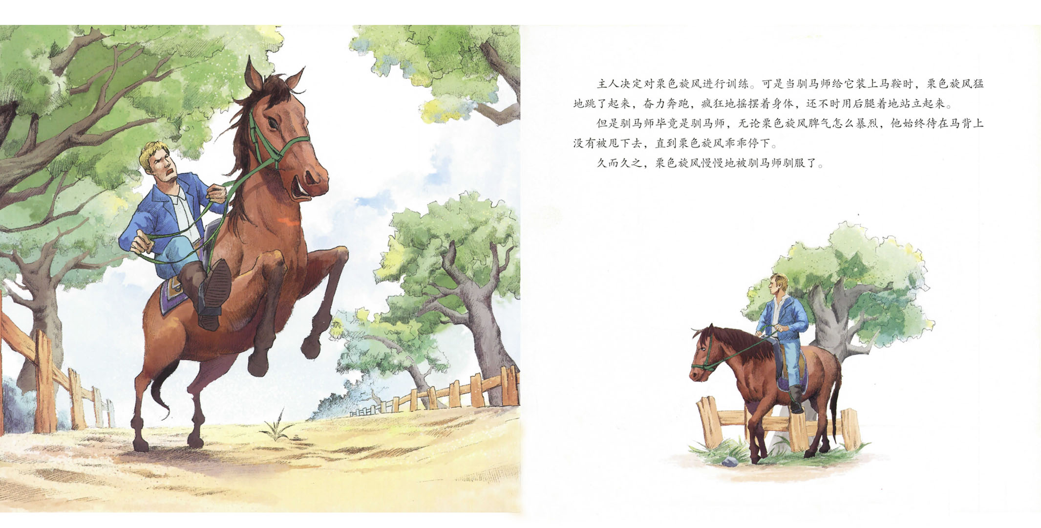 高傲的栗色烈马绘本故事第4页