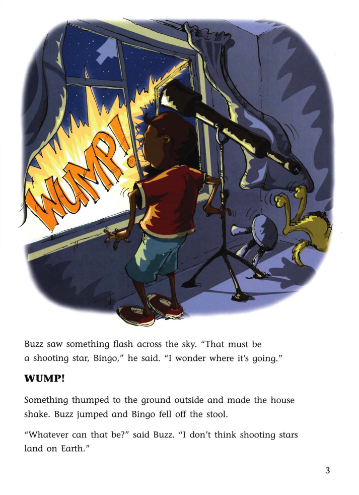 Buzz and Bingo in the Starry Sky绘本故事第3页